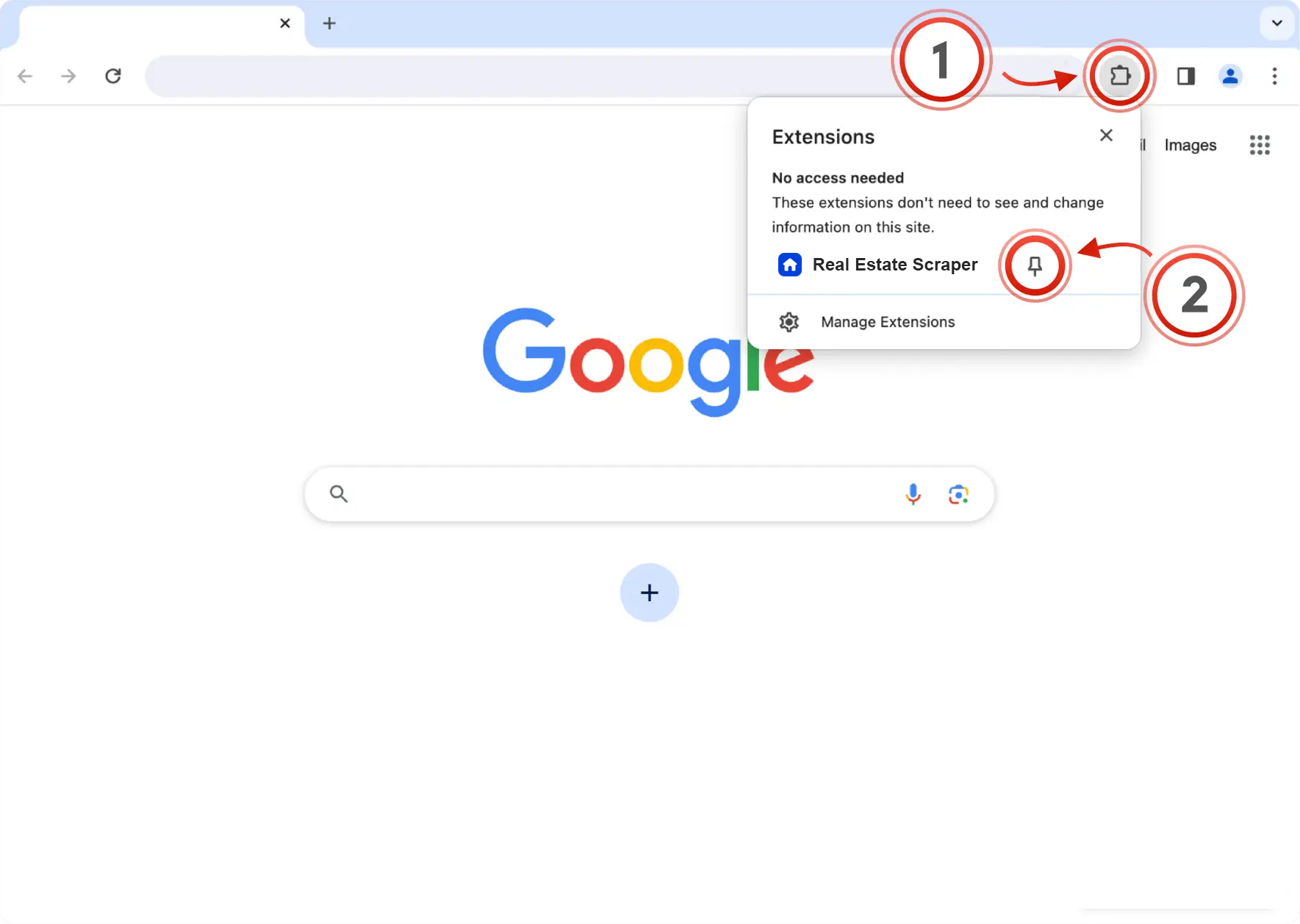 Step 1 — pin the extension